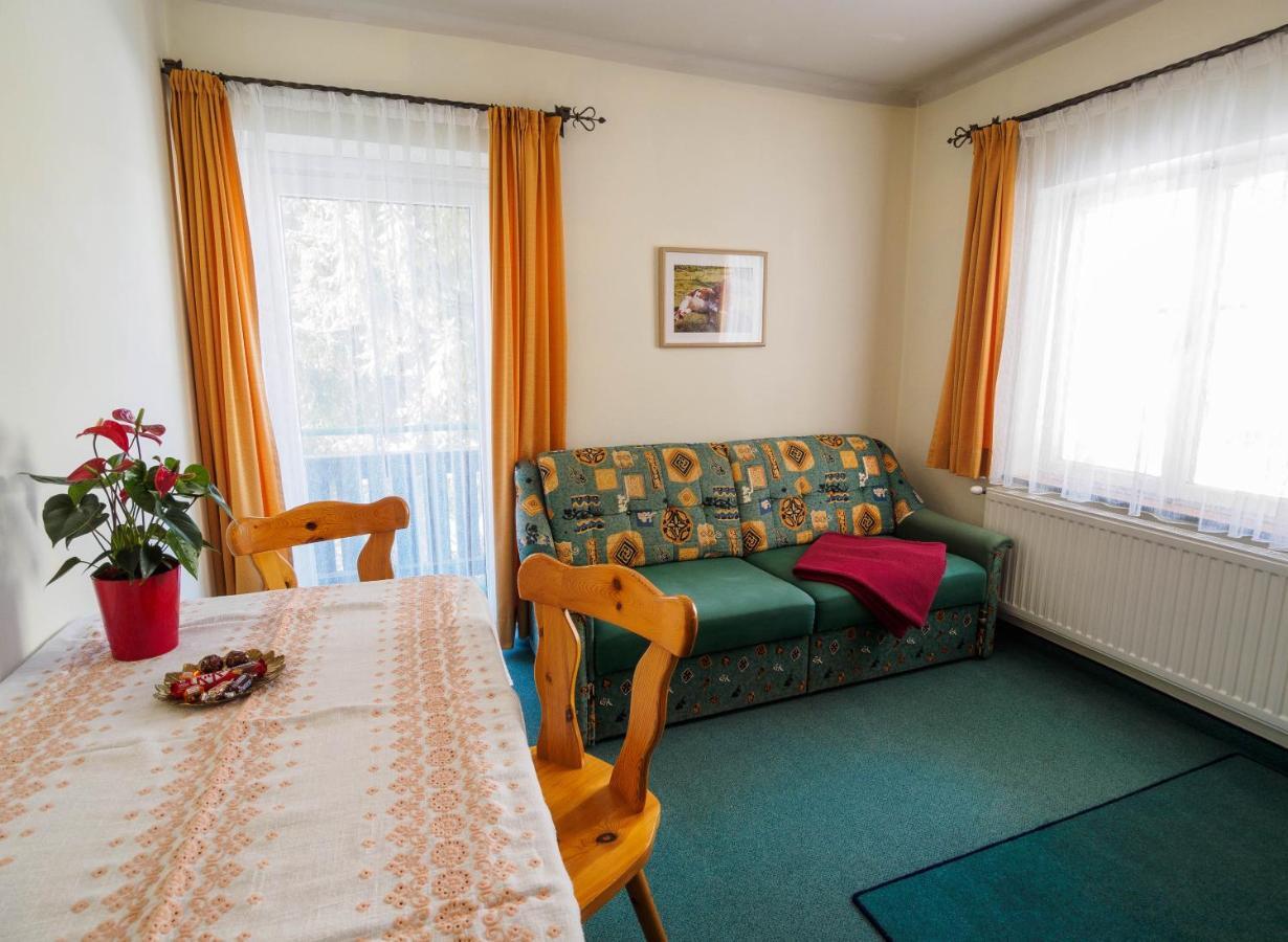Haus Winkler Διαμέρισμα Filzmoos Εξωτερικό φωτογραφία