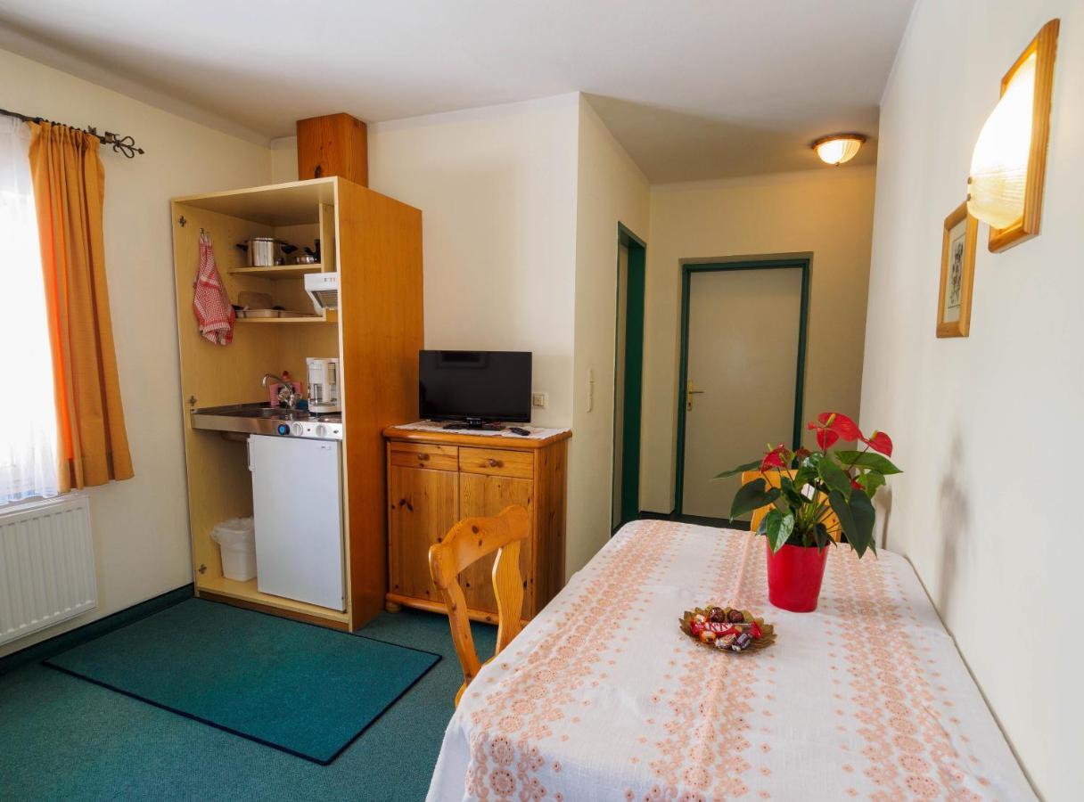Haus Winkler Διαμέρισμα Filzmoos Εξωτερικό φωτογραφία
